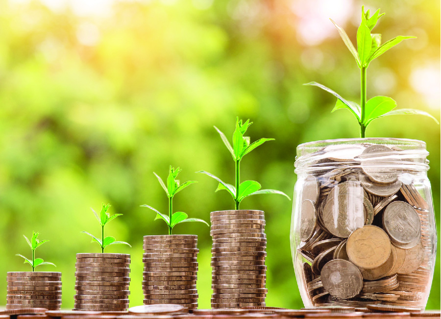 A image shows plants growing from stacks of money of different sizes.