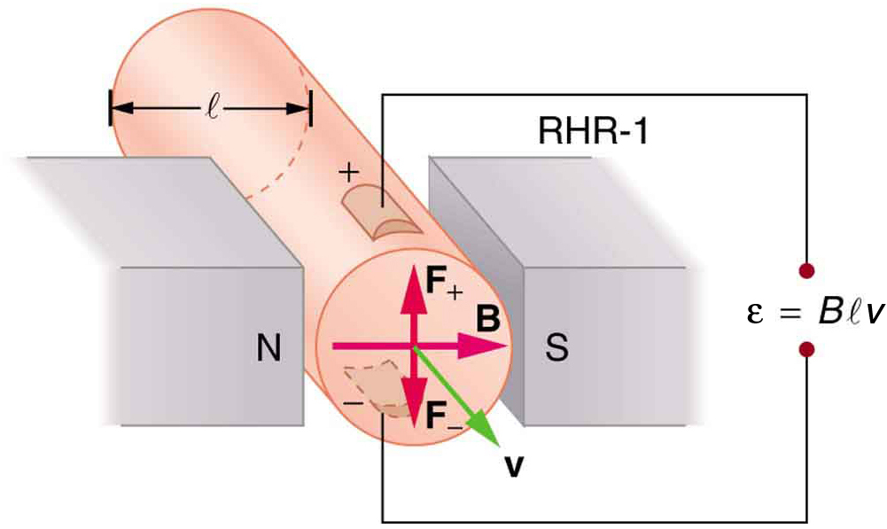 Diagram showing a tube with diameter l with one end between the north and south poles of a magnet. The charges are moving with velocity v within the tube and out of the page. The magnetic field B is oriented across the tube, from the north to the south pole of the magnet. The force on the charges is up for positive charges and down for negative charges. e m f = B l v.