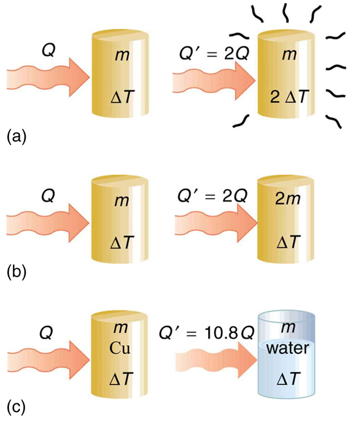 Figure a shows a copper-colored cylinder of mass m and temperature change delta T. The heat Q, shown as a wavy rightward horizontal arrow, is transferred to the cylinder from the left. To the right of this image is a similar image, except that the heat transferred Q prime is twice the heat Q. The temperature change of this second cylinder, which is also labeled m, is two delta T. This cylinder is surrounded by small black wavy lines radiating outward. Figure b shows the same two cylinders as in Figure a. The left cylinder is labeled m and delta T and has a wavy heat arrow pointing at it from the left that is labeled Q. The right cylinder is labeled two m and delta T and has a wavy heat arrow pointing to it from the left labeled Q prime equals two Q. Figure c shows the same copper cylinder of mass m and with temperature change delta T, with heat Q being transferred to it. To the right of this cylinder, Q prime equals ten point eight times Q is being transferred to another cylinder filled with water whose mass and change in temperature are the same as that of the copper cylinder.