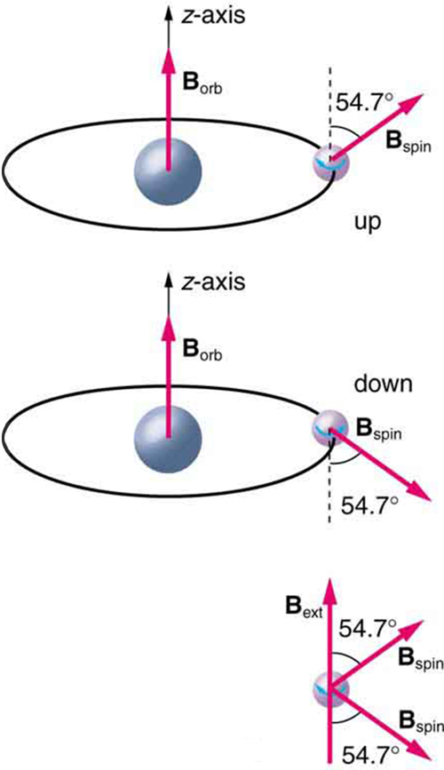 The image shows two cases of intrinsic magnetic field of an electron due to its spin. In the first case, circular orbit is shown with external magnetic field in the vertical direction and the direction of the intrinsic magnetic field of electron due to its spin is upwards at an angle of fifty four point seven degrees with the vertical axis. In the second case, circular orbit is shown with external magnetic field in the vertical direction and the direction of the intrinsic magnetic field of electron due to its spin is downwards at an angle of fifty four point seven degrees with the vertical axis.