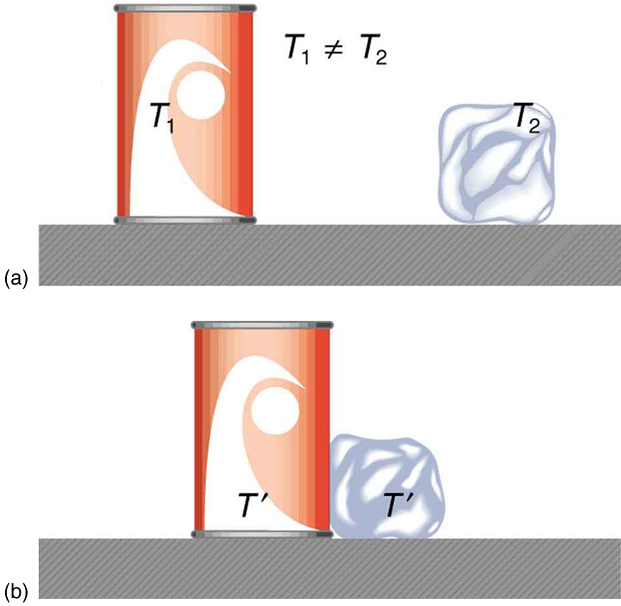 In figure a there is a soft drink can and an ice cube placed on a surface at a distance from each other. The temperatures of the can and the ice cube are T one and T two, respectively, where T one is not equal to T two. In figure b, the soft drink can and the ice cube are placed in contact on the surface. The temperature of both is T prime. 