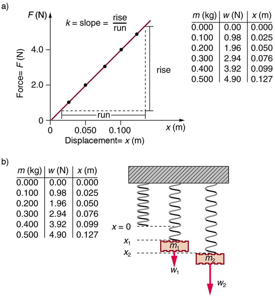 The given figure a is the graph of restoring force versus displacement. The displacement is given by x in meters along x axis, with scales from zero to point zero five zero, then to point one zero, then forward. The restoring force is given by F in unit newton along y axis, with scales from zero to two point zero to four point zero to forward. The graph line starts from zero and goes to upward to point where x is greater than point one zero and F is greater than four point zero with intersection dots at equal distances on the slope line. The slope is depicted by K which is given by rise along y-axis upon run along x axis . The values of mass in kilogram, weight in newtons, and displacement in meters are given along with the graph in a tabular format. In the figure b a horizontal weight bar is shown with three weight measuring springs tied to its lower part, hanging in the downward vertical direction. The first bar has no mass hanging through it, showing zero displacement, as x is equal to zero. It is the least stretched spring downward. The second spring has mass m one tied to it which exerts a force w one, on the spring, which causes displacement in the spring shown here to be x one. Similarly, the third spring is most stretched downward with a mass m two hanging through it with force w two and displacement x two. The values of mass in kg, weight in newtons and displacement in meters are given with the graph in a tabular format.