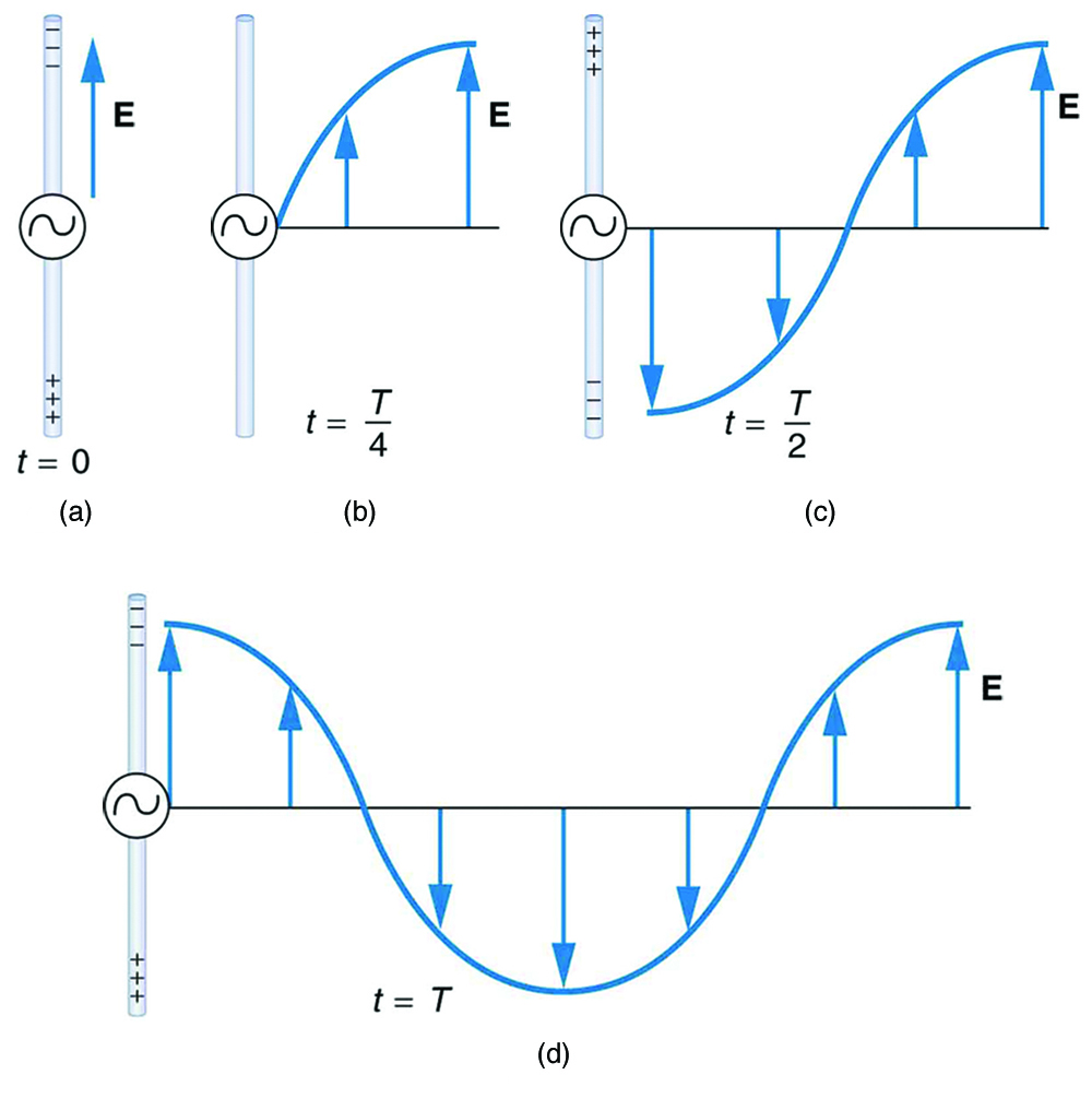 A long straight gray wire with an A C generator at its center, functioning as a broadcast antenna for electromagnetic waves, is shown. The wave distributions at four different times are shown in four different parts. Part a of the diagram shows a long straight gray wire with an A C generator at its center. The time is marked t equals zero. The bottom part of the antenna is positive and the upper end of the antenna is negative. An electric field E acting upward is shown by an upward arrow. Part b of the diagram shows a long straight gray wire with an A C generator at its center. The time is marked t equals capital T divided by four. The antenna has no polarity marked and a wave is shown to emerge from the A C source. An electric field E acting upward as shown by an upward arrow. The electric field E propagates away from the antenna at the speed of light, forming part of the electromagnetic wave from the A C source. A quarter portion of the wave is shown above the horizontal axis. Part c of the diagram shows a long straight gray wire with an A C generator at its center. The time is marked t equals capital T divided by two. The bottom part of the antenna is negative and the upper end of the antenna is positive and a wave is shown to emerge from the A C source. The electric field E propagates away from the antenna at the speed of light, forming part of the electromagnetic wave from the A C source. A quarter portion of the wave is shown below the horizontal axis and a quarter portion of the wave is above the horizontal axis. Part d of the diagram shows a long straight gray wire with an AC generator at its center. The time is marked t equals capital T. The bottom part of the antenna is positive and the upper end of the antenna is negative. A wave is shown to emerge from the A C source. The electric field E propagates away from the antenna at the speed of light, forming part of the electromagnetic wave from the A C source. A quarter portion of the wave is shown above the horizontal axis followed by a half wave below the horizontal axis and then again a quarter of a wave above the horizontal axis.